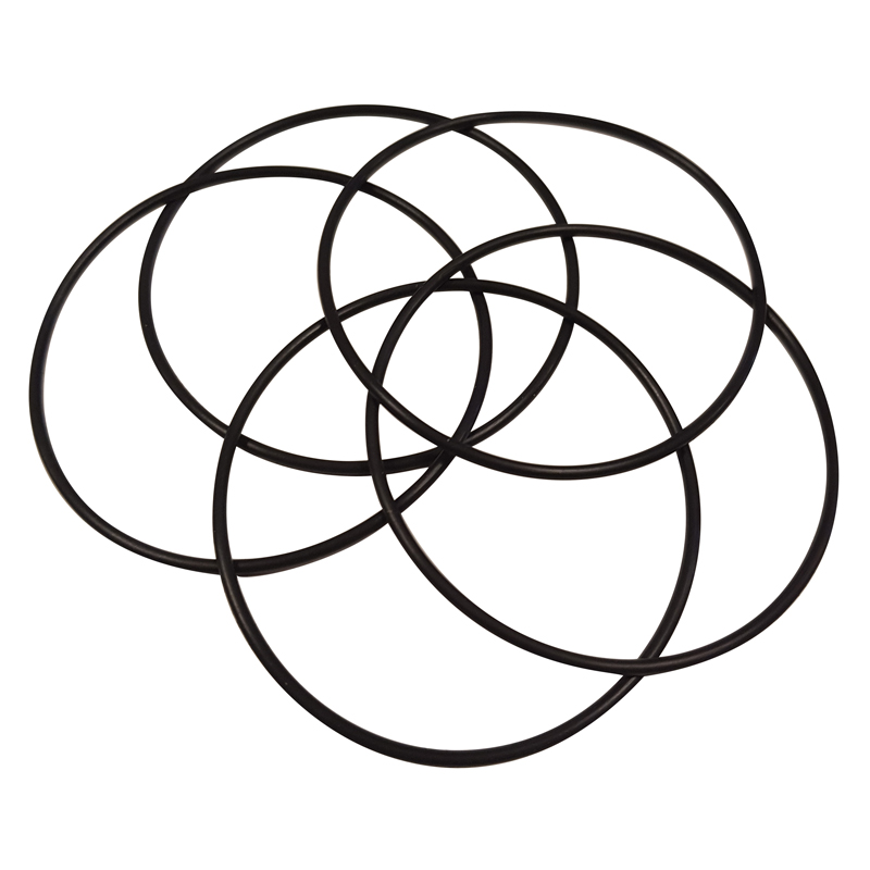 Sample Well O-ring, Viton (pack of 5) card image